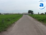 Article На украинских дорогах появились «экологи»-мошенники