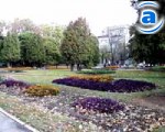 Article Сегодня праздник у парков