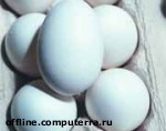 Article У Украины проблемы со сбытом яиц