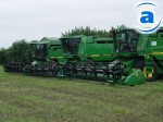 Article В Харьковской области поля засевают поверх сорняков