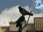 Article Самый чистый воздух в Харькове на Баварии