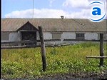 Article В Харьковской области растут иностранные инвестиции в сельское хозяйство