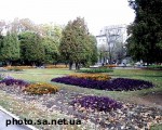 Article Сад Шевченко будут убирать по три раза в день?