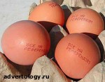 Article Украина на первом месте в мире по производству яиц