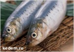 Article В Харьковской области наловили 1146 тонн рыбы