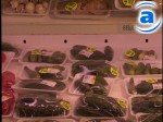 Article Городские власти просят санстанцию проверить штрих-коды в супермаркетах