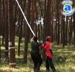 Зображення до:  В Харьковской области прошли соревнования лесорубов