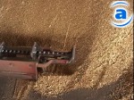 Article Сейчас запасы зерна на сельхозпредприятиях меньше, чем в прошлом году