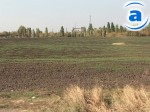 Article Уборочная уже началась в 18-ти районах области