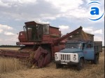 Article Уборка урожая  в Харьковской области идет полным ходом