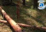 Article Мэр Харькова обвиняет бизнесменов в «вандализме»