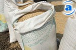 Article В Харьковской области намолочено 350 тыс. тонн ранних зерновых