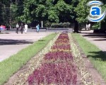 Article В Харькове может появиться аллея почетных горожан