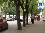 Зображення до:  В Харькове более 40  улиц с одинаковыми названиями