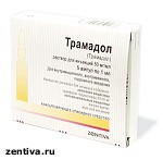 Article Украинец пытался вывезти в Россию 310 капсул трамадола