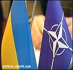 Article Референдум по НАТО, если и будет, то лишь в 2008 году