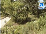 Article Городские власти разрабатывают правила проведения земельных аукционов