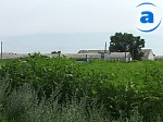 Article Сельхозпредприятия области приступили к уборке кукурузы на зерно