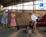 Article Харьковские аграрии – шестые в Украине по уровню зарплат