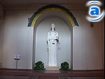Article Впервые в истории Украины состоится суд в защиту диких животных