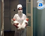 Article Обеспеченных матерей лишат единоразовой помощи при рождении ребенка