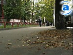 Article Харьковчане смогут прогуляться по Французскому бульвару