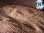 Article Кабмин ввел квоты на экспорт зерна