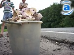Article Большинство отравившихся грибами в Харькове – жители Коминтерновского района