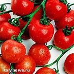 Article Больше двух тонн помидоров пытался незаконно вывезти в Россию житель Харьковской области