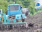 53912