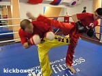 Article Харьковские кикбоксеры завоевали 4 медали на чемпионате мира