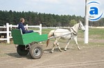 Article Датчане хотят построить в Первомайском районе животноводческий комплекс