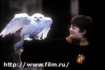 Article «Поттериана» приближается к своему завершению