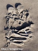 Article Археологи раскопали самых древних Ромео и Джульетту
