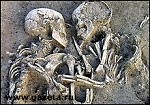 Article Влюбленных не будут тревожить