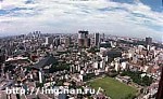 Article Японию окутал «желтый туман»