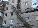 Зображення до:  В Московском районе на 5-этажку упал тополь