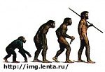 Article Ученые воссоздали внешний облик женщины, которая жила 14 тысяч лет назад