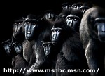 Article Лучшие фотографии со всего мира (фото)