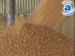Article Аграрии области полностью рассчитались с Аграрным Фондом