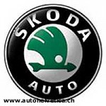 Article Требования рабочих «Skoda Auto» будут удовлетворены