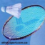 Article Харьковская команда выиграла клубный чемпионат Украины по бадминтону