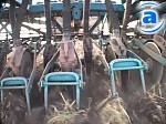 Article Харьковские аграрии закончили сеять яровые