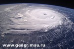 Article Ураган в Австралии: есть жертвы
