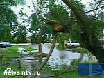 Article Сильный ураган в Европе: пострадали Австрия, Чехия, Германия