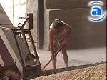 Article В Харьковской области аграрии намолотили уже 400 тыс. тонн зерна
