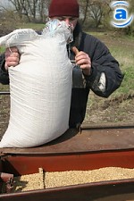 Article Харьковские аграрии недовольны ценами на зерно