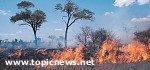 Article На Канарах сильные пожары: эвакуированы 11 тысяч человек