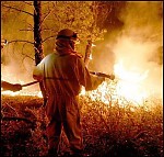 Article Пожарные «Октябрьского лесного хозяйства» из Харьковской области отправляются тушить лес в Херсонскую