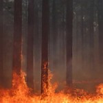 Article В Харьковской области продолжают гореть сухая трава и лес